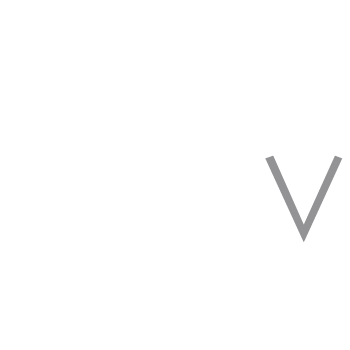 Grupo Empresarial BSV